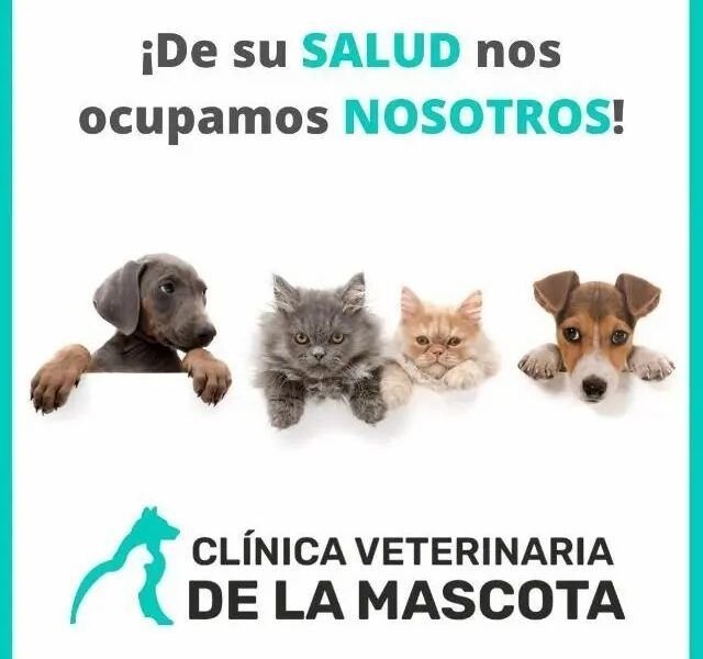 VETERINARIA CLINICA DE LA MASCOTA