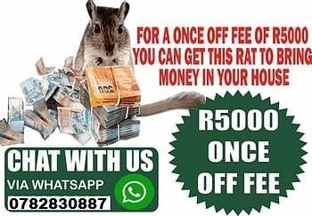 Money Spell In Rustenburg City, Magic Ring In Klerksdorp Town, Magic Rats In Soshanguve Township Call ☏ +27782830887 Magic Wallet For Money In George City, Money Spell In East London And Cape Town South Africa