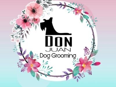 Don Juan Dog Grooming - Peluquería y estética canina