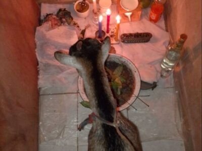 +2349034922291 #JOIN ILLUMINATI IN USA / CANADA FOR RICHES AND FAME # DON'T DIE SILENT