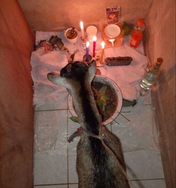 +2349034922291 #JOIN ILLUMINATI IN USA / CANADA FOR RICHES AND FAME # DON'T DIE SILENT