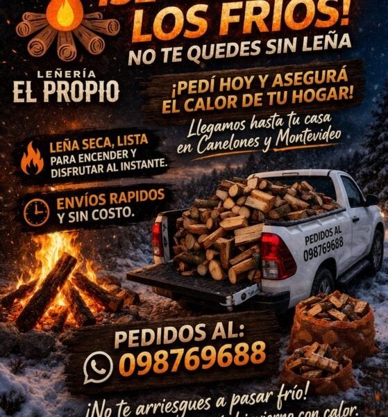 Venta de leña a domicilio sin costo