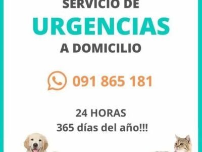 VETERINARIA CLINICA DE LA MASCOTA