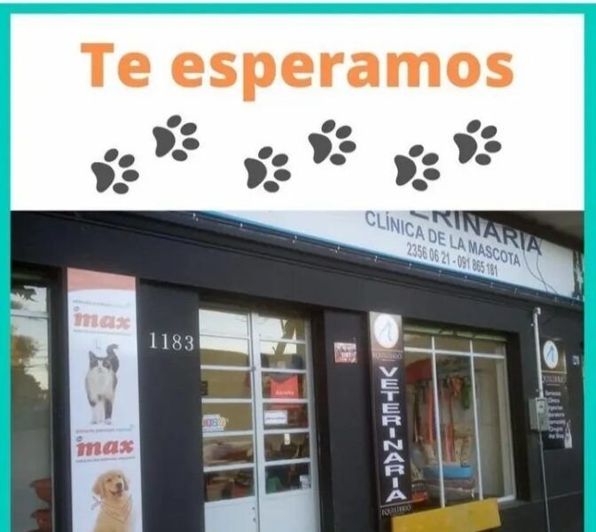 VETERINARIA CLINICA DE LA MASCOTA