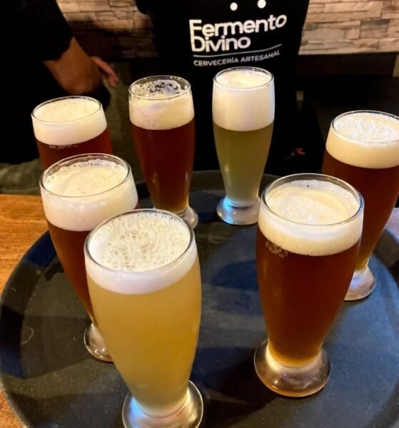 CERVECERÍA ARTESANAL FERMENTO DIVINO - Cervecería