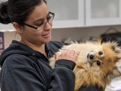 CLINICA VETERINARIA DEL CENTRO