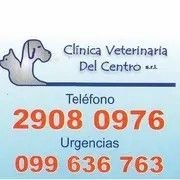 CLINICA VETERINARIA DEL CENTRO