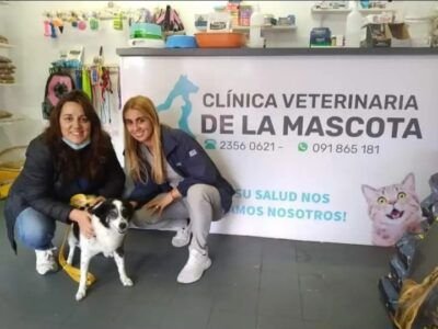 VETERINARIA CLINICA DE LA MASCOTA