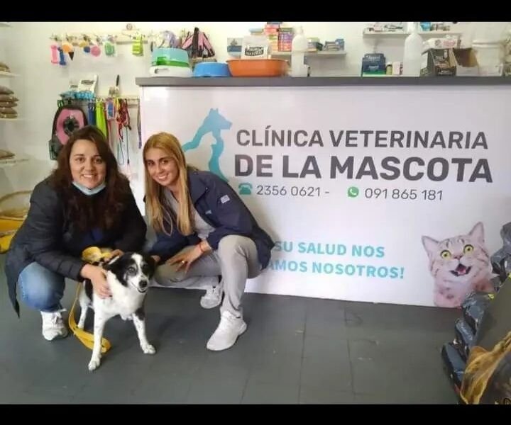 VETERINARIA CLINICA DE LA MASCOTA